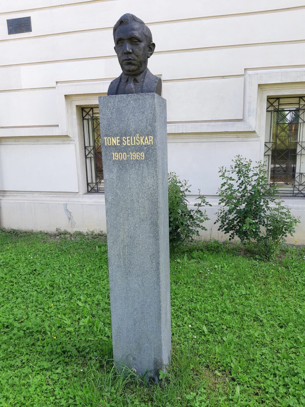 Tone Seliškar