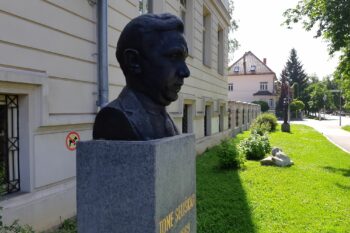 Tone Seliškar