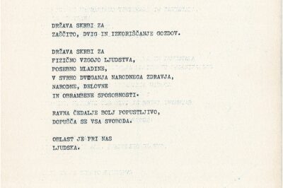 Tomaž Hostnik: Država