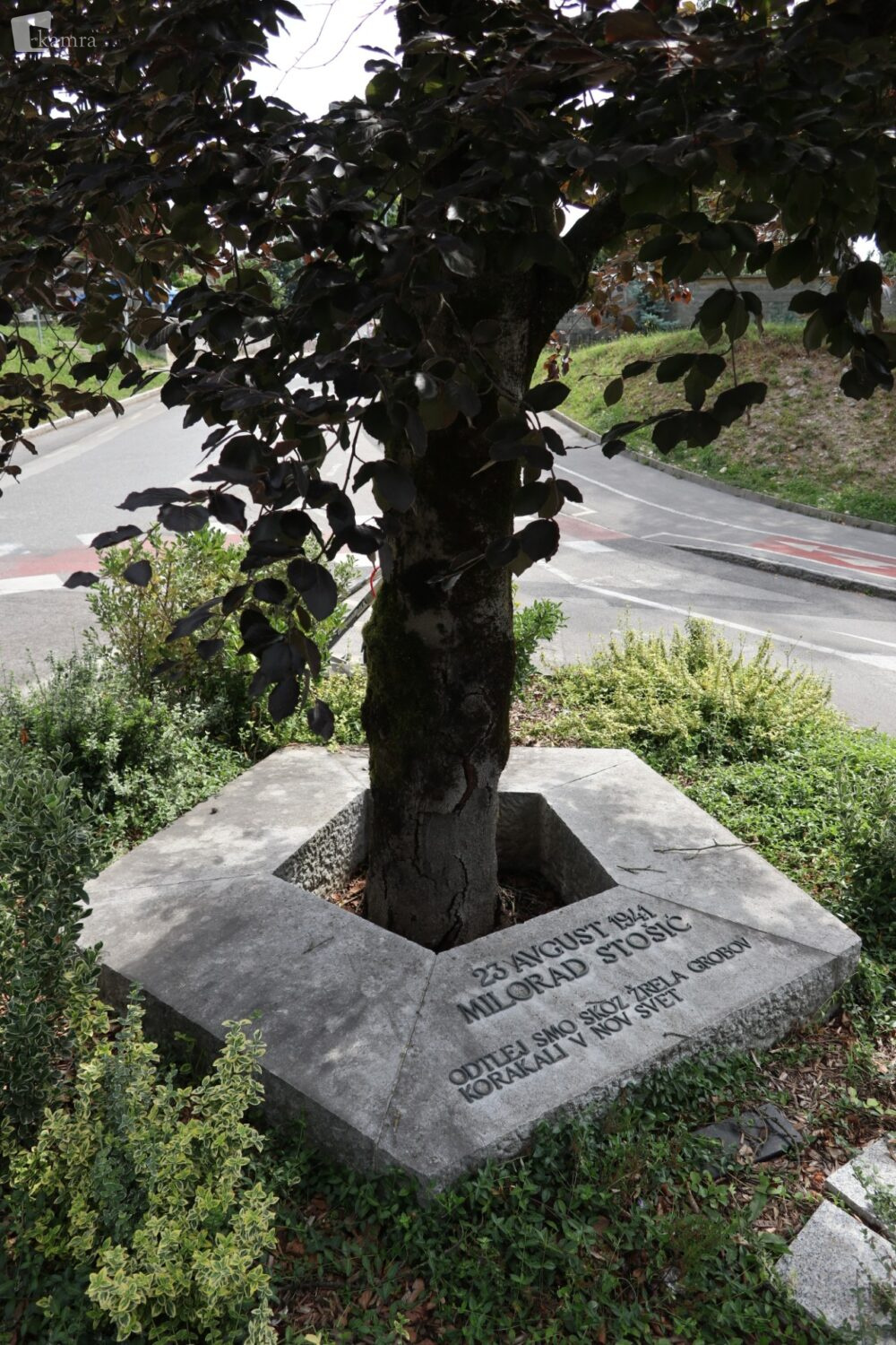 Spomenik umorjenemu Miloradu Stošiću