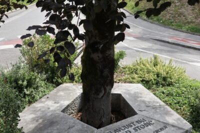 Spomenik umorjenemu Miloradu Stošiću