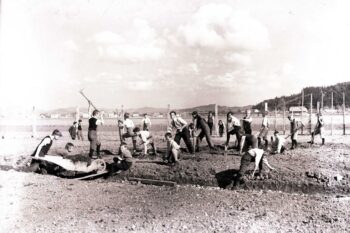 Vrt meščanske šole