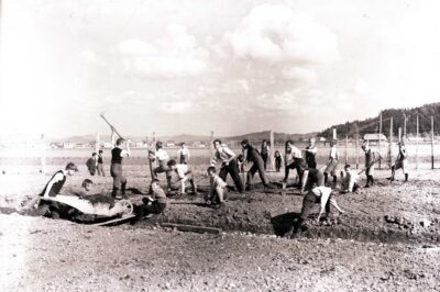 Vrt meščanske šole