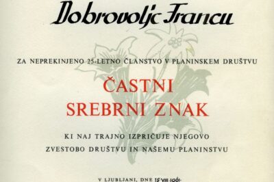 Častni srebrni znak