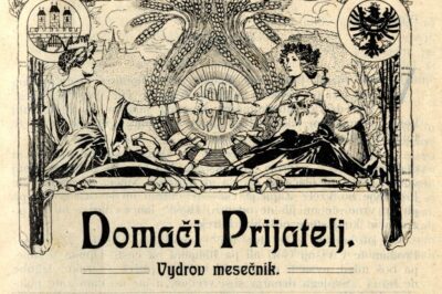 Domači prijatelj
